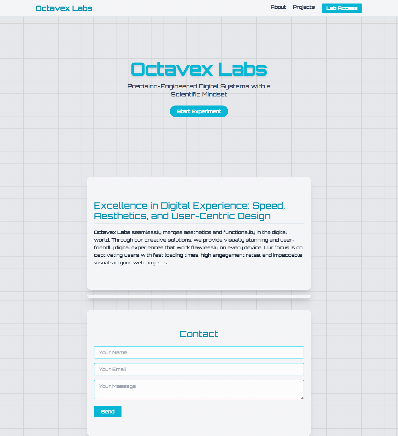 Screenshot of Project 2